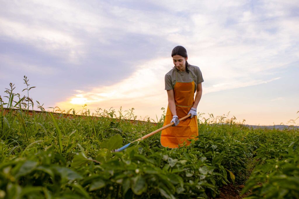 Photo of a woman working in a field.