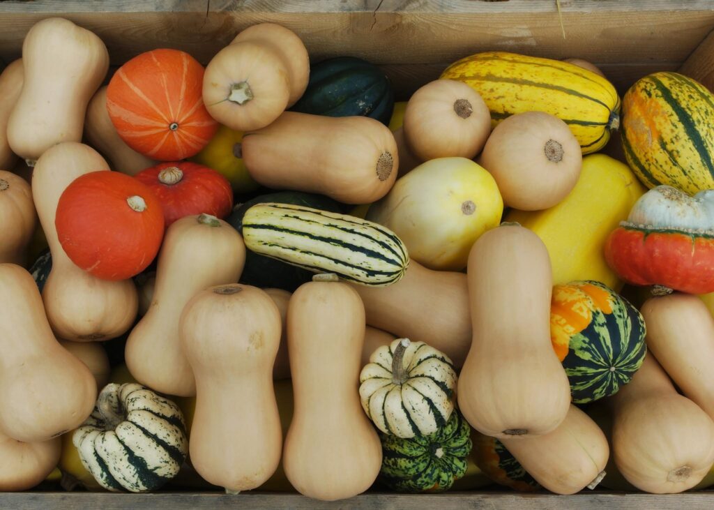 Photo of colorful assortment of winter squash